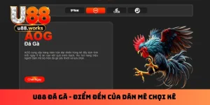 U88 Đá Gà - Điểm Đến Của Dân Mê Chọi Kê Chính Hiệu